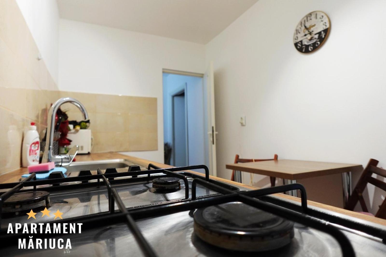 Mariuca Apartament Buşteni Exterior foto